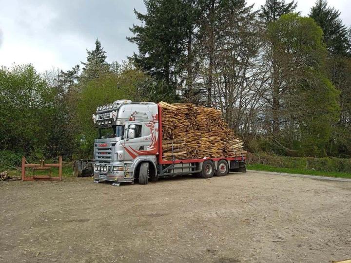 Vente de piquets en bois de châtaignier Corrèze